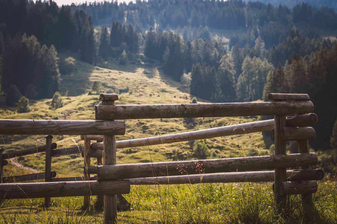 How to Design and Build a Wooden Gazebo